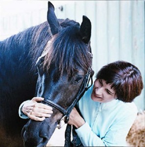 With Beau, a purebred Cheval Canadien whom I had for four years