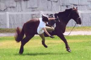 Seconds before the fall. Photo: Sue Byford