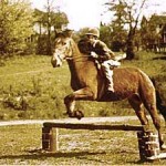 At age 10 in England, my New Forest pony Bruno
