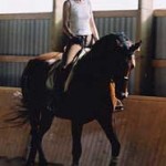 Viola, Dutch Warmblood dressage schoolmaster